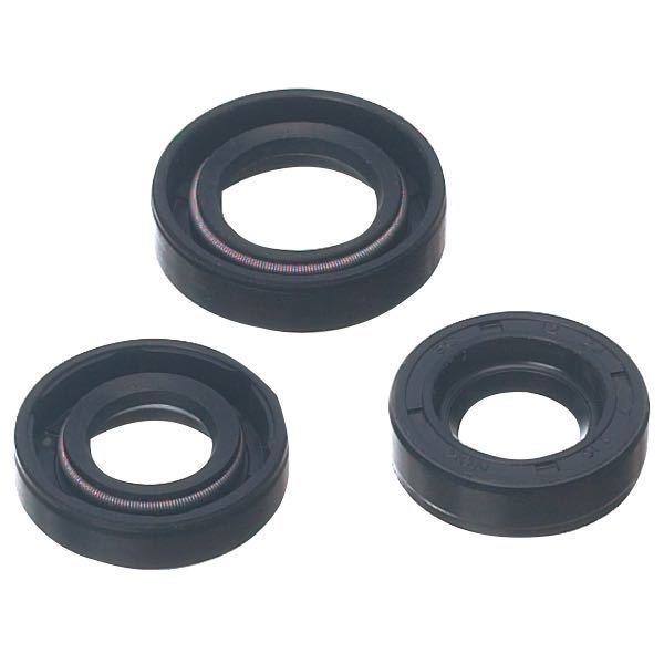 SeaTec, tätningsring 12x24x7 mm, för 4-hålspump, med fjäder i rostfritt stål