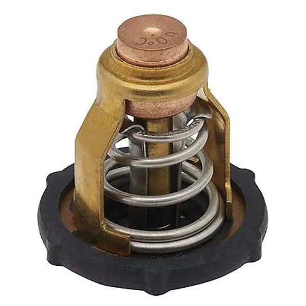 Quicksilver termostat monteret klar til installation